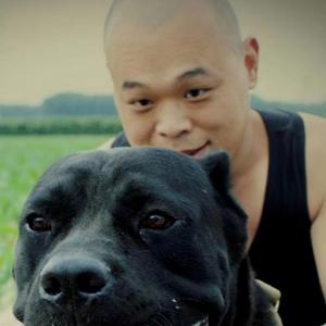 狗王太狂暴 对主人呲牙 主人 来试试 看谁把谁弄趴下 西瓜视频