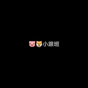 🐷🐶小跟班（团狗小跟班）头像