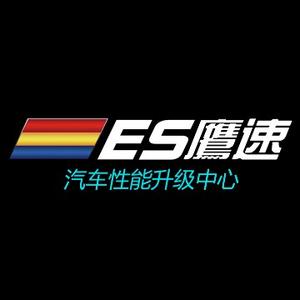 ES鹰速车文化头像