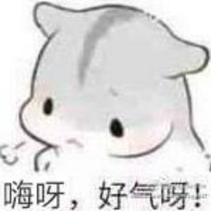 嗨凑活呗头像