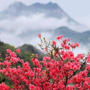 吾是弥勒头像