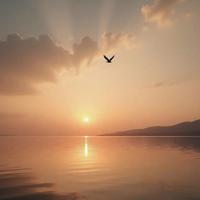 相逢在灯火阑珊处头像