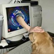 尾巴想取个好名字的个人资料头像