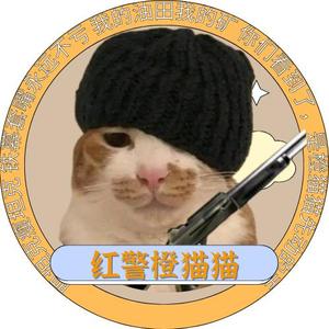 红警橙猫猫头像