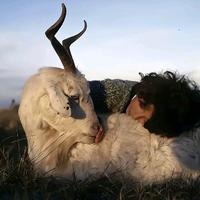 用户6234828872829头像