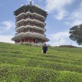 明天会更好shk头像