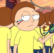 袋鼠SAMA的个人资料头像