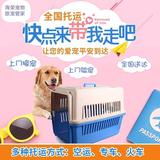 A郑州海荣宠物旅行管家133338240头像