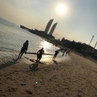 悟饭科斯头像