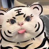 圣V诞头像