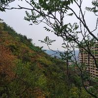 哈哈博学的梦想头像