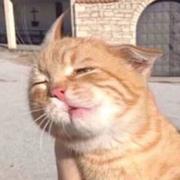 TT9711的个人资料头像