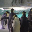 凯文就是我的个人资料头像