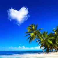 敏锐小猫07头像