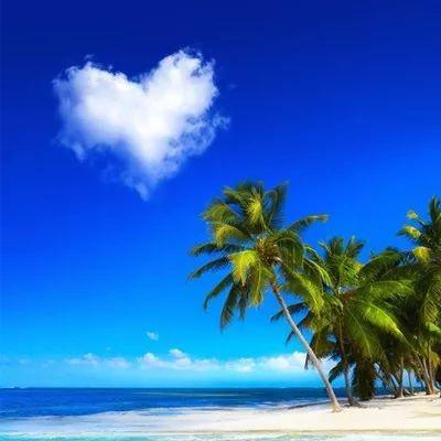 敏锐小猫07头像