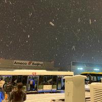 沃沃沃尔沃头像