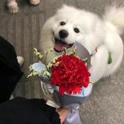 Perveen的个人资料头像