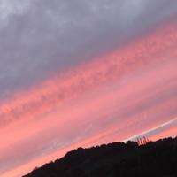 syh樱花散头像