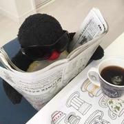 OneShadow的个人资料头像