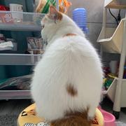 Dunqing的个人资料头像