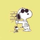 行走在路上不想说话78615的个人资料头像