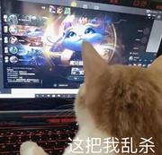 睡个好觉多好的个人资料头像
