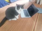 木叶萧萧下的个人资料头像