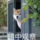 朔月 · 星途凌云车主·车龄2年头像