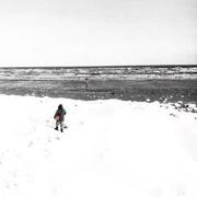 Sisyphus丶的个人资料头像