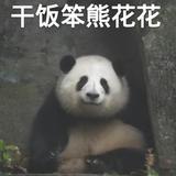 铭忆521头像