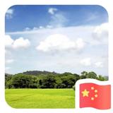 孔金良565头像