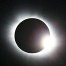 木易道杨5E1N头像