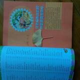 用户9529172819812头像