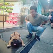 尚磊的个人资料头像