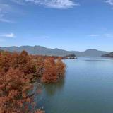 用户3528381114101头像