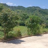 用户6599801760059头像