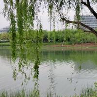 用户7535317739884头像