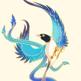 选择大于努力8118头像