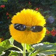 用户01871379971的个人资料头像