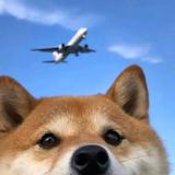 Uvcjnjk头像