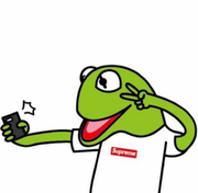 蔡非菜的个人资料头像