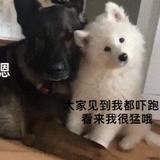用户1983811288066头像