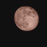 牛波一的个人资料头像