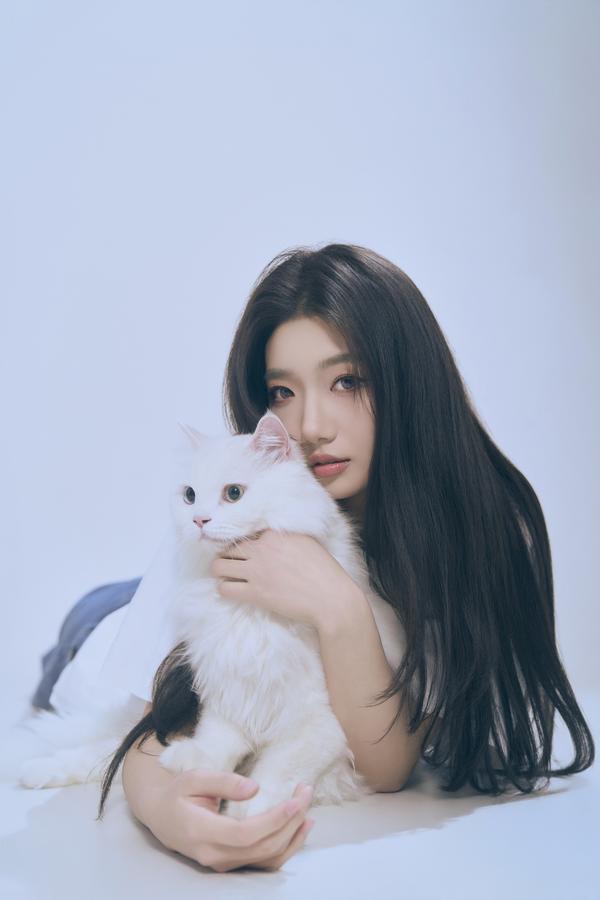 小小的CarLife头像