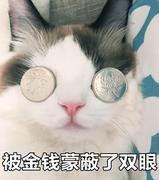 NoPre的个人资料头像