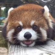 不成黑客不改名的个人资料头像