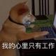 爱音乐伊迪3X9头像