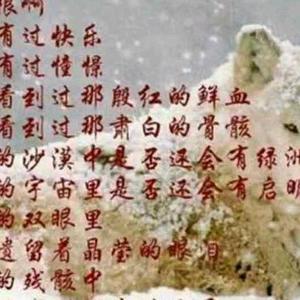 雪狼青春的火头像