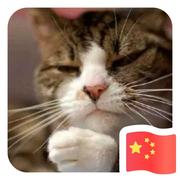 李义全的个人资料头像