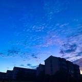 阿司匹林Q头像